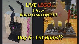 LIVE 1 Hour LEGO Build Challenge!!! Cat Bums???