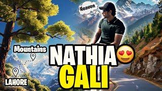 Escaping to Nathia Gali  | A Perfect Mountain Trip  with Friends | Malik Anas Vlogs