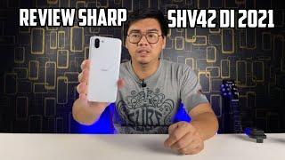 Cuma 1 Jutaan..!! Review Sharp Aquos R2/SHV42 di Tahun 2021