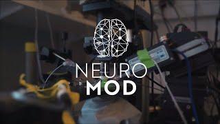 NeuroMod Institute – Modeling in neuroscience and cognition