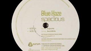 Blue Haze ‎– Spacious (Original Mix)