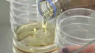 Basic Techniques in Microbiology - Solid media Agarplates