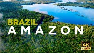 "Wild Wonders of the Amazon || Nature and Wildlife of Brazil’s Jungle"