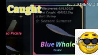 Caught A Blue Whale In Roblox Fisch Big Prismize Blue Whale