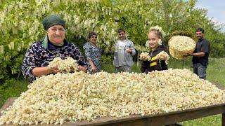 HARVESTING ANGEL WHITE LILAC FLOWERS | Lilac Jam and Compot Recipe Cooking In Village | Hard Life