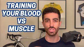 Hemoglobin: The Forgotten Limiter to Cycling Training & Performance