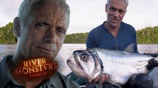 Vampire Fish Are Real? | River Monsters