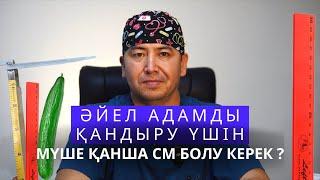 Әйел адамды қандыру үшін мүшенің размері қанша см болуы қажет ?