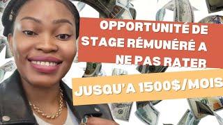 OPPORTUNITÉ DE STAGE RÉMUNÉRÉ: JUSQU’A 1500$ PAR MOIS. POSTULEZ AVANT LE 6 SEPTEMBRE #immigration