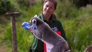 Weighting game at ZSL Whipsnade Zoo