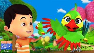 Main Tota Main Tota, তোতা আমি তোতা, Ami Tota + Bengali Rhymes for Children