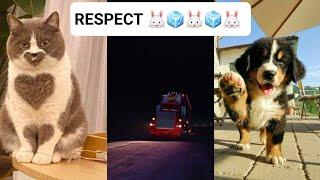 Respect video  | like a boss compilation  | amazing people 