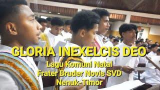 GLORIA INEXELCIS DEO "Lagu komuni Para Frater Bruder Novis SVD Nenuk-Timor"