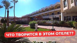 Что ждать от дешевого отеля в Египте? Zya regina resort aqua park 4*