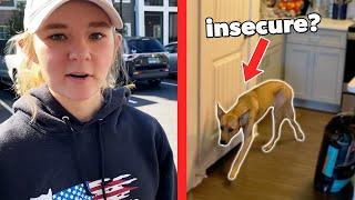 Picking Up An Insecure Dog for Training