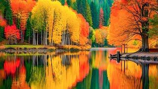 Beautiful Relaxing Music - Autumn Melodies and Mindful Piano Instrumentals for Peace