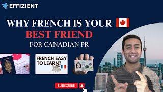 Canadian Immigration Updates Feb 2025 | Why French is Your Best Friend