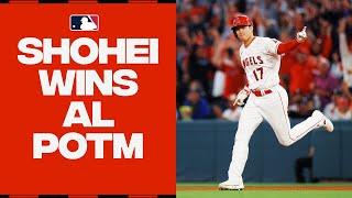 Shohei Ohtani continues to DOMINATE! Wins AL Player of the Month for June! | 大谷翔平ハイライト