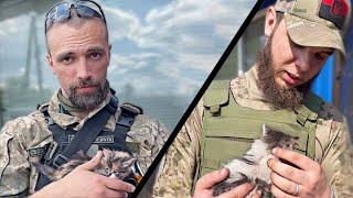 Ukrainian Soldiers Rescue Kittens