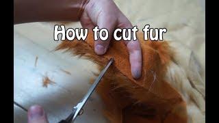 //Tutorial #14// How To Cut Fur