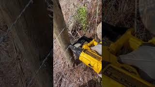 Dewalt cordless fence stapler in fast mode for the nay sayers #dewalt #fencing #tools