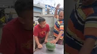 The Watermelon challenge that went viral took a new twist. #viral #funny