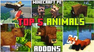 ️TOP 5 ANIMALS ADDONS for BEDROCK / MINECRAFT PE 1.20 - 1.19 #addons