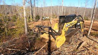 TABLE ROCK TEA - Just doing some forestry mulching