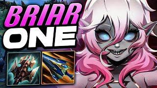 NEW S14 How To Play Briar Jungle Bruiser | Indepth Guide Learn Climb