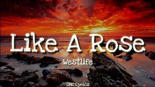 A1 - Like A Rose (Lyrics)