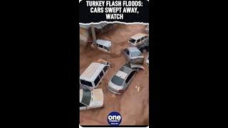 Turkey Flash Floods: Cars swept away as floods inundate cities | Oneindia News