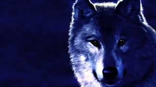 Блатной Удар - Одинокий Волк