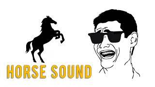 Horse Sound | Background Sound Effect | Funny Background Sounds | SHORTS video | Copyright Free