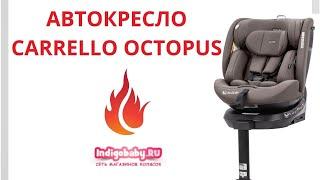 Автокресло Carrello Octopus K83, гр. 0/1/2/3 (0-36 кг). Новинка. Налетай!
