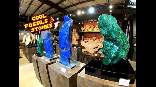 Unbelievable Stones and Fossils!