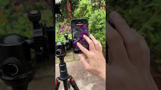 Unlock Next Level of Phone Photography: Capturing Nature with the Fotorogear 400mm Telephoto Lens