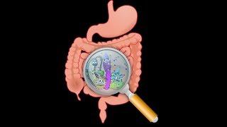 Darm-Mythen 4 - E.coli einregulieren, aber wie?