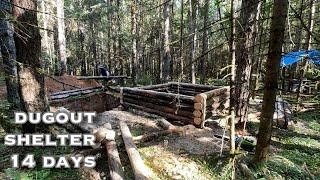 14 days: I'm building a bear-resistant shelter alone