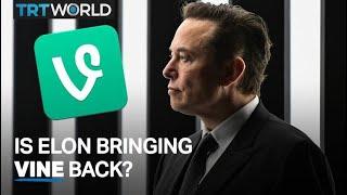 Is Elon Musk bringing Vine back?