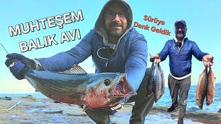 EFSANE BALIK AVI - TORİK SÜRÜSÜNE DENK GELDİK - (Shore jigging Bonito)