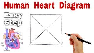 आसान तरीका Human Heart Diagram Drawing करने का // Human Heart Diagram Drawing Class 10