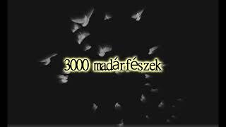 DanilowMT - 3000 Bird's Nest (3000 madárfészek)