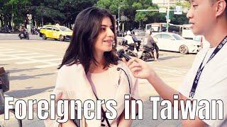 What are Foreigners doing in Taiwan ? Street Interview in Taipei