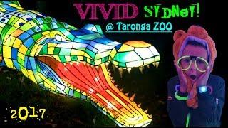 Vivid At Taronga Zoo!!