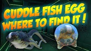 HUGE NAME CHANGES (CUDDLE FISH?!) + WHERE TO FIND IT IN GAME! | Subnautica News