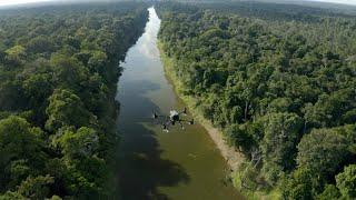 Rolex and National Geographic Perpetual Planet Amazon Expedition: In the Flooded Forest