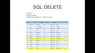 The SQL DELETE Statement