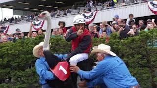 2018 Emerald Downs Ostrich Race