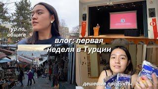 exchange в Турции: влог #1 | общежитие, ориентационная неделя, выходные в городе