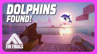 Sunset Dolphins Easter Egg UNLOCKED In THE FINALS!